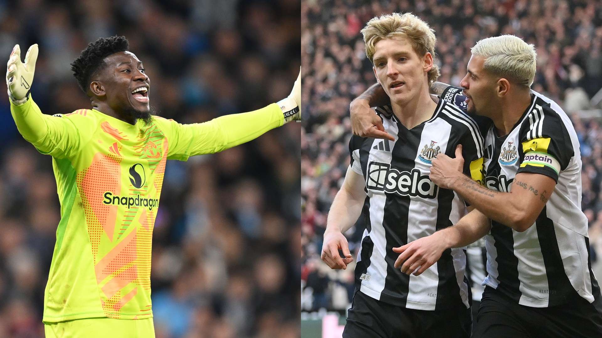 不仅给他们 不仅给他们