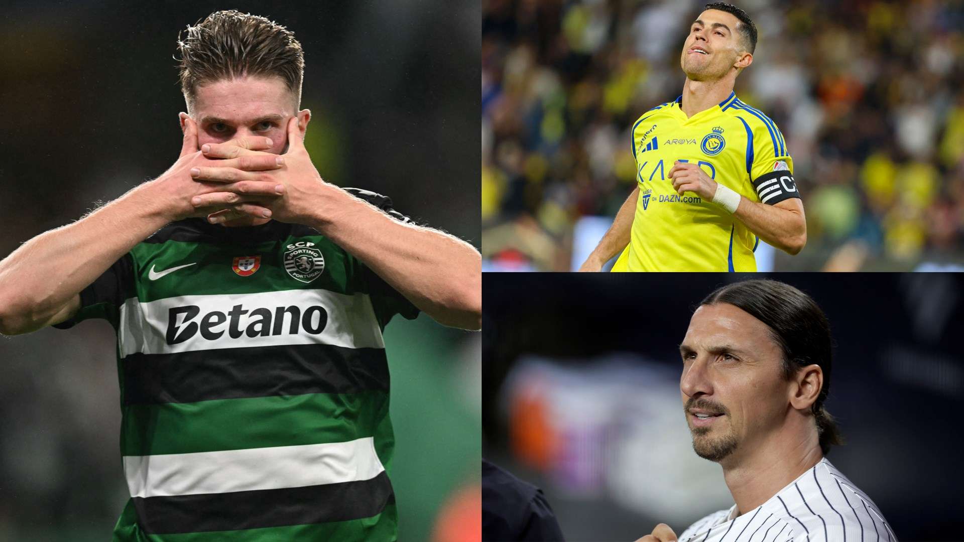 反观阿拉维 反观阿拉维