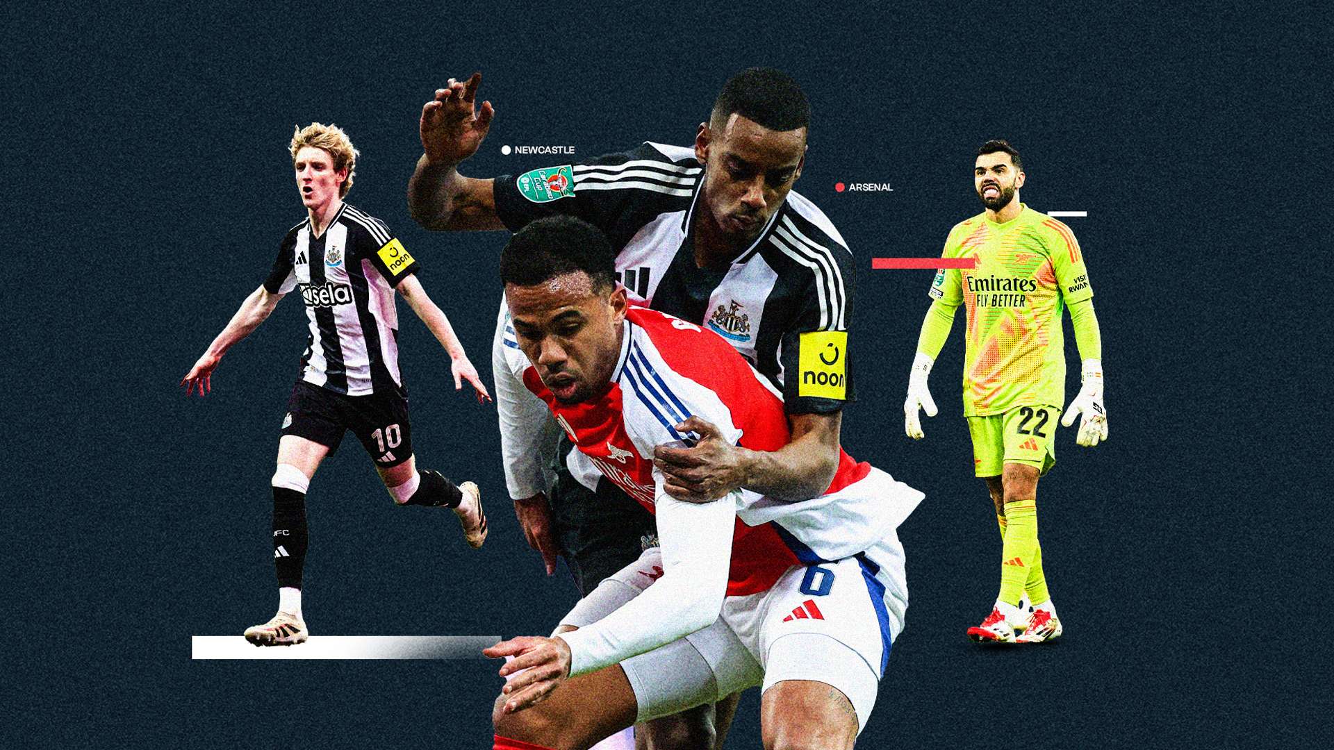 适应性极强 适应性极强